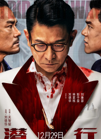 女蜘蛛怀孕生宝宝难产